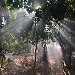 Butterfly Valley Seaside Glamping Luxuszelt *