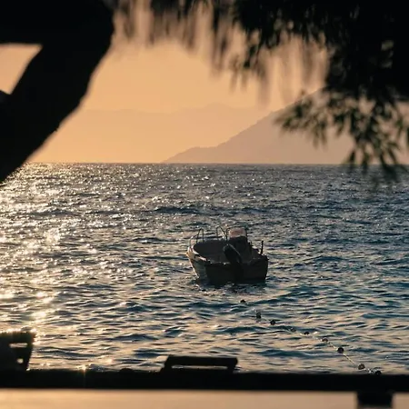럭셔리텐트 Butterfly Valley Glamping 페티예