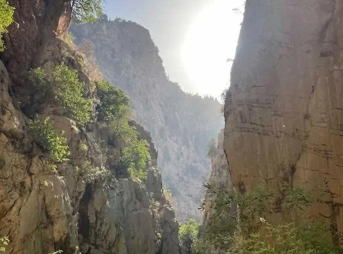 Butterfly Valley Seaside Glamping Tente de luxe