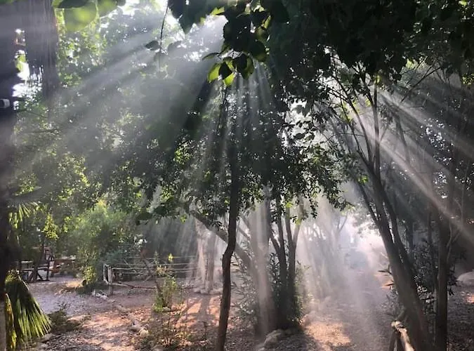 Butterfly Valley Seaside Glamping Tente de luxe *