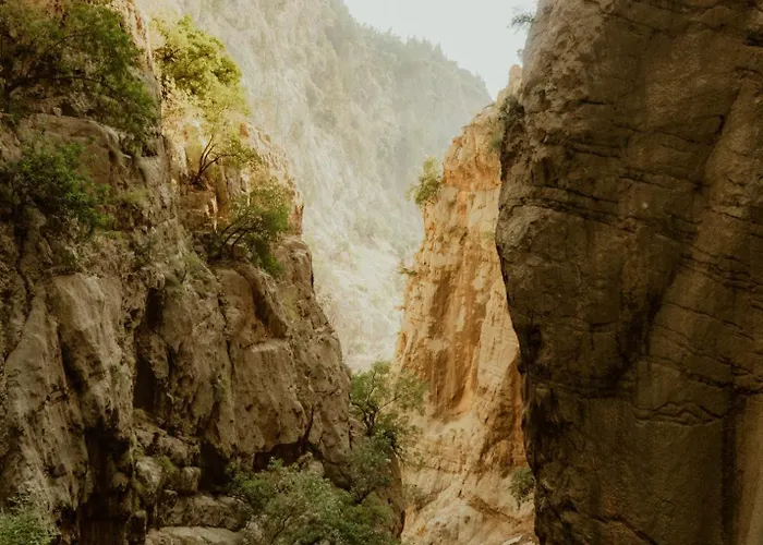 Butterfly Valley Seaside Glamping Fethiye