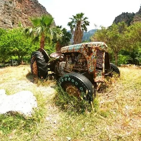Butterfly Valley Glamping * Fethiye