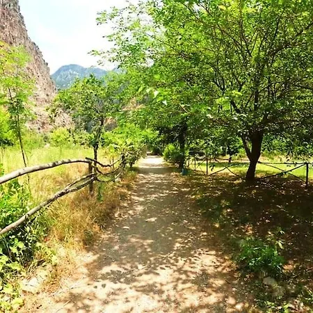 럭셔리텐트 Butterfly Valley Glamping