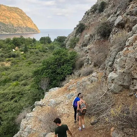 럭셔리텐트 Butterfly Valley Glamping 페티예