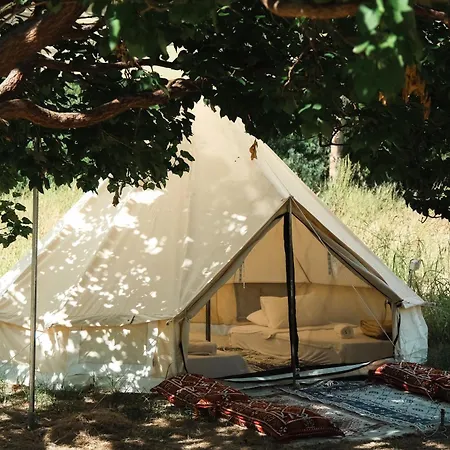 Butterfly Valley Glamping 페티예