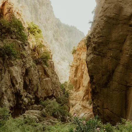 Butterfly Valley Glamping 페티예