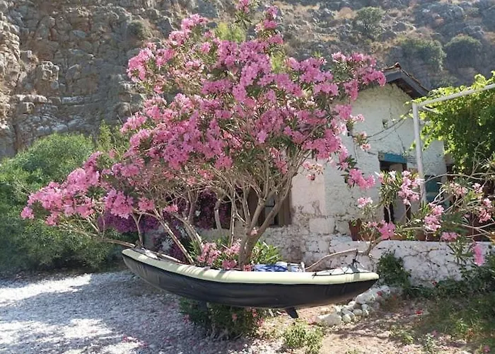 Luxe tent Butterfly Valley Glamping *