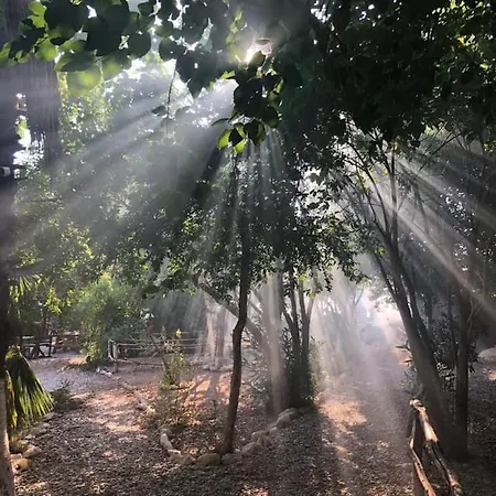 Butterfly Valley Glamping אוהל מפואר *