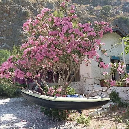 אוהל מפואר Butterfly Valley Glamping *